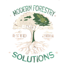 MODERN FORESTRY SOLUTIONS