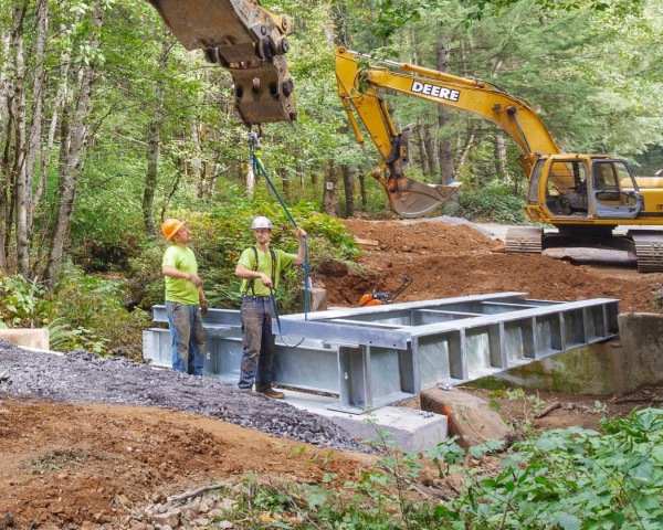 Modern forestry solutions gfgthg Modern forestry solutions gfgthg